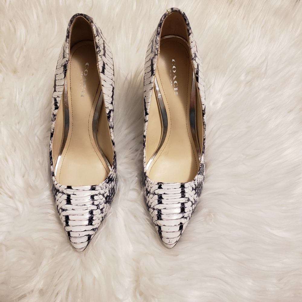 COACH Orchard Graphic Print Snake Leather Wedge